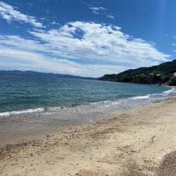 ちょい投げでキス、穴釣りでギンポとカサゴを釣る！！